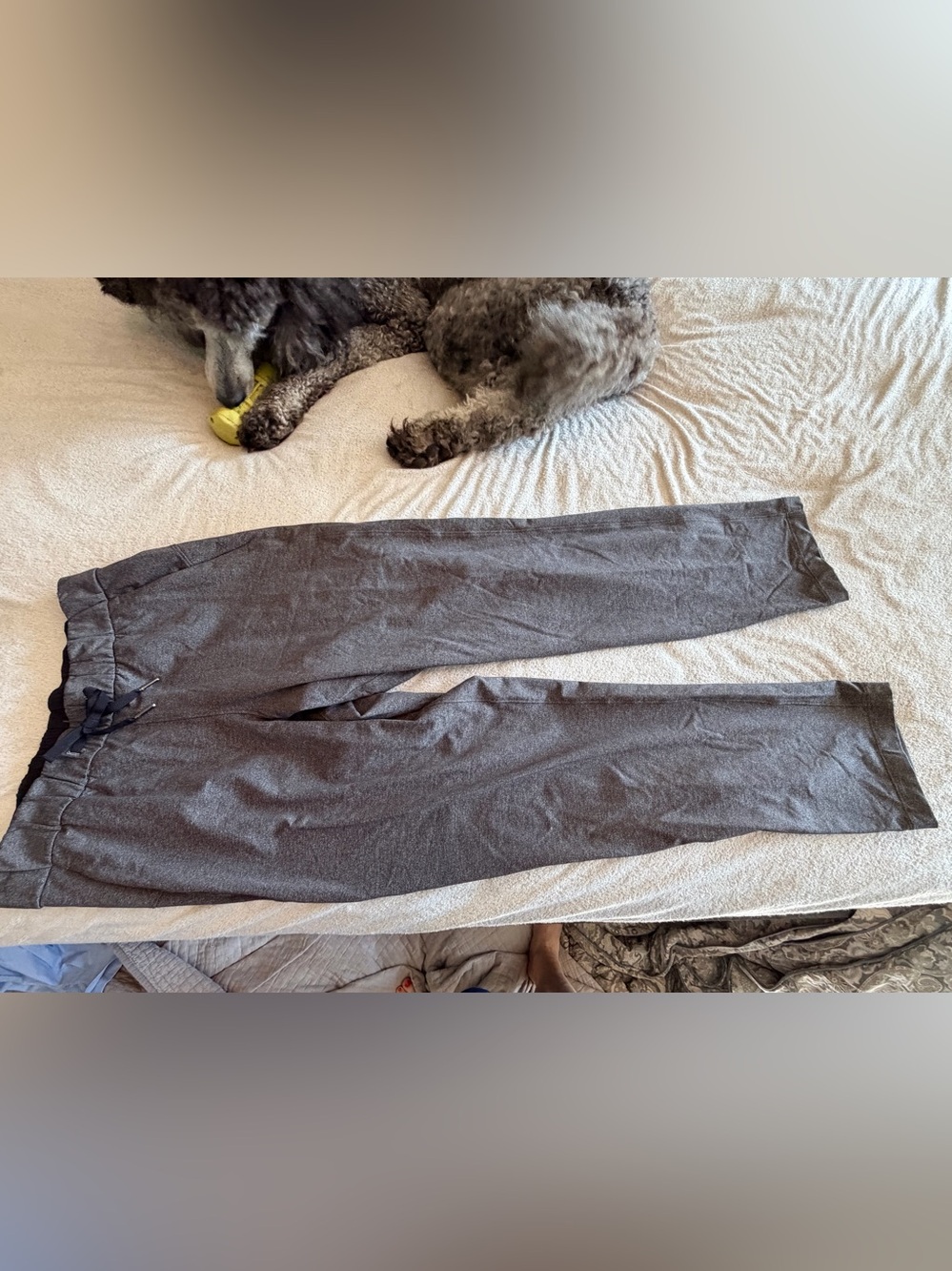 Lululemon Gray Jogger- 6